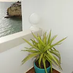 Ocean View Terrace, The Sea View, In Front Of Lejlighed *