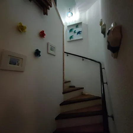 Apartamento Ocean View Terrace, The Sea View, In Front Of *