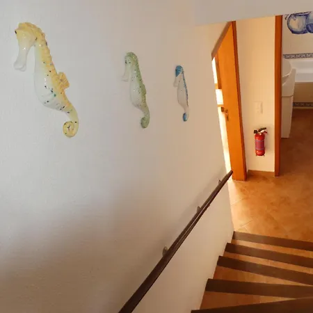 Apartamento Ocean View Terrace, The Sea View, In Front Of